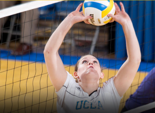 ucla womens volleyball