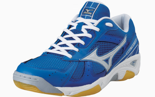 mizuno volleyball shoes 2015 price