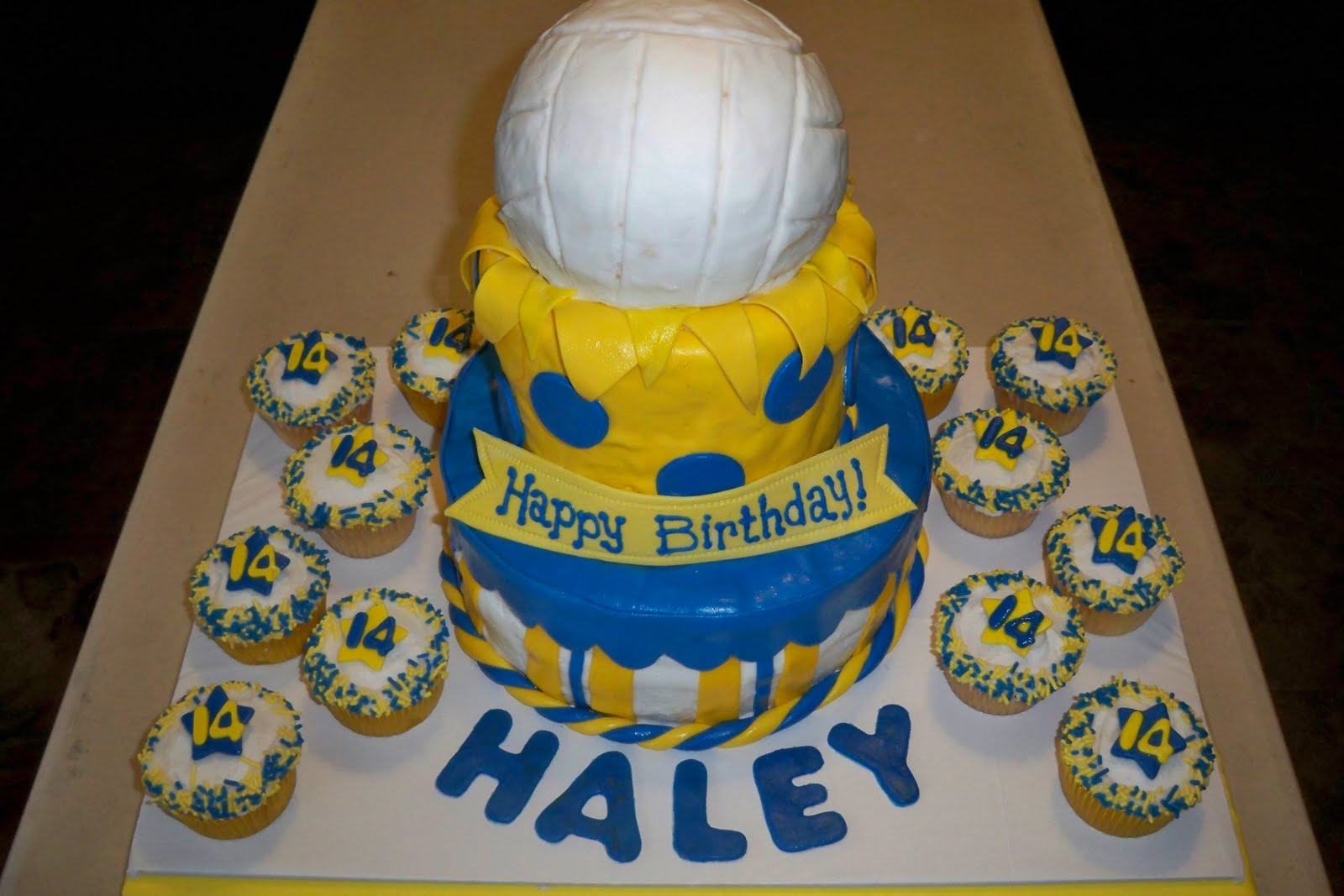 volleyball themed birthday cake Volleywood