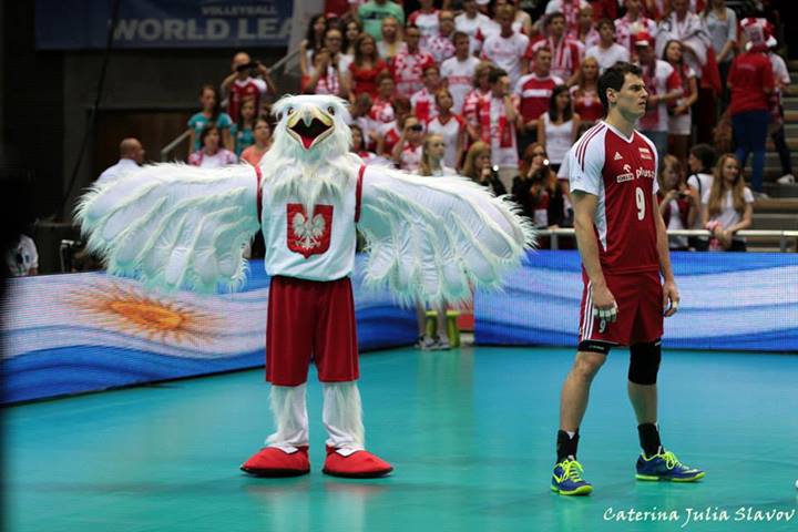 zbigniew zibi bartman hot volleyball player 2