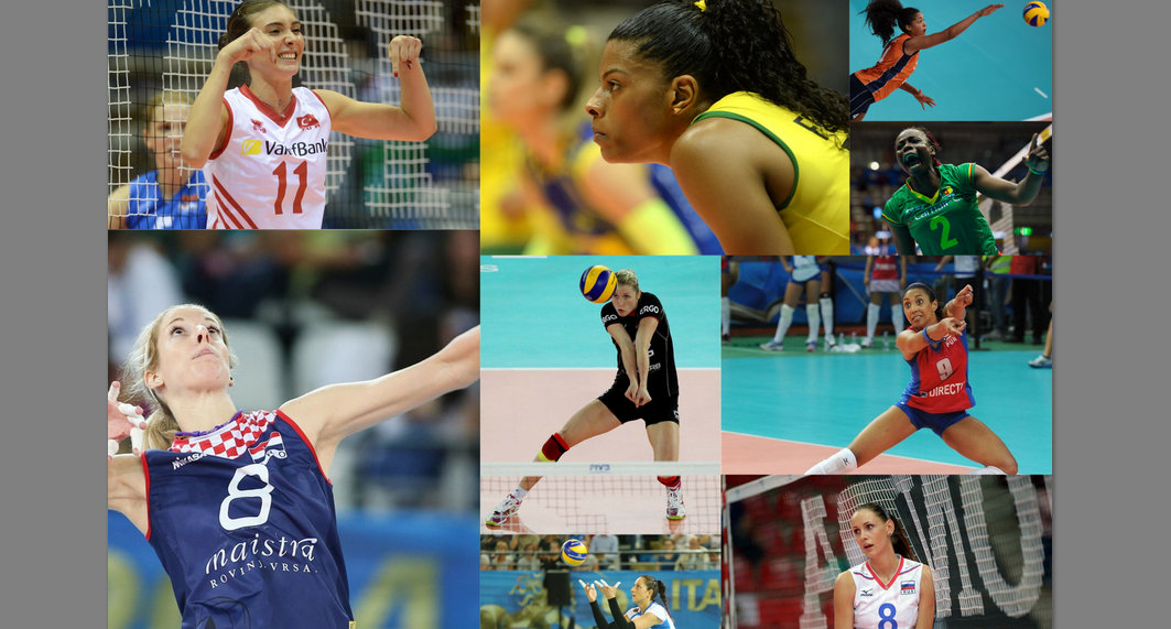 world's best and most famous volleyball players