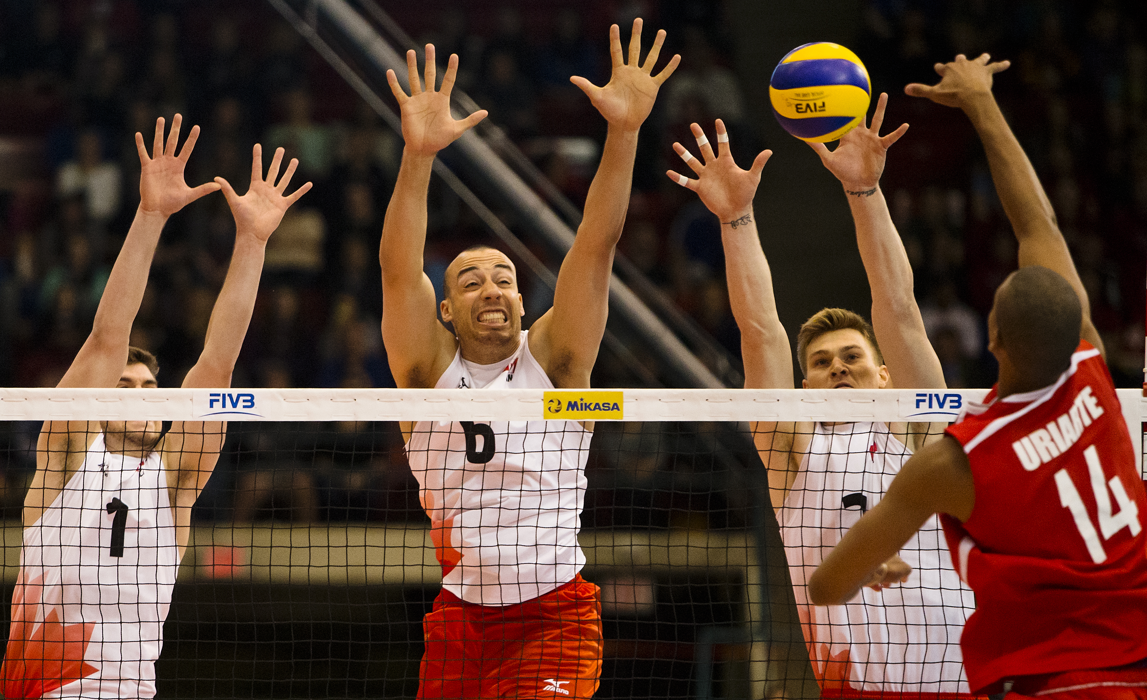 justin duff canada volleyball team