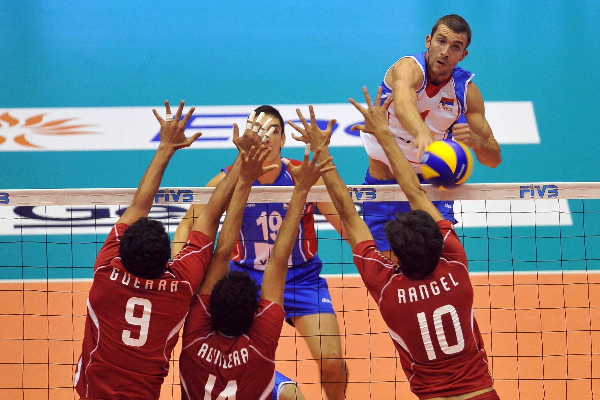 nikola kovacevic best volleyball player serbia 4