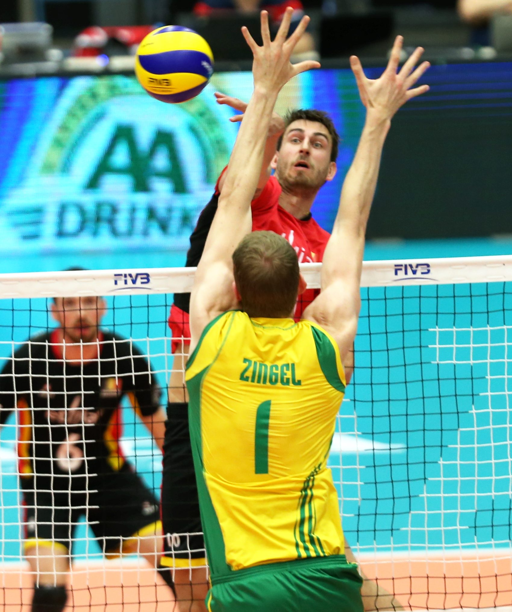 thomas edgar australia volleyball world league 2 Volleywood