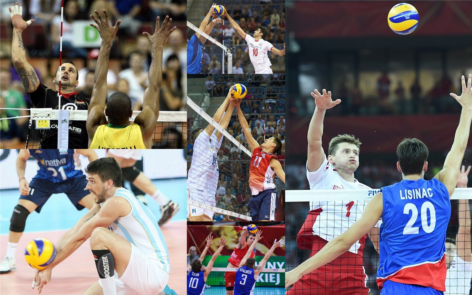 the worlds best male volleyball players Volleywood
